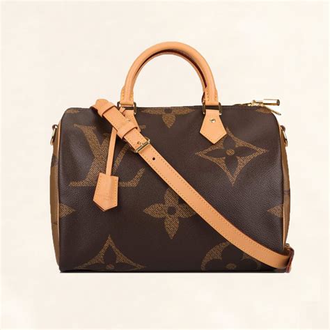 large speedy louis vuitton|louis vuitton speedy 30 women.